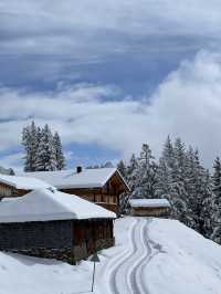 Grindelwald - First Cliff Walk แบบหิมะฉ่ำๆ