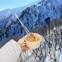 겨울여행지 추천! 설산이 멋진 설악산케이블카 여행🏔️