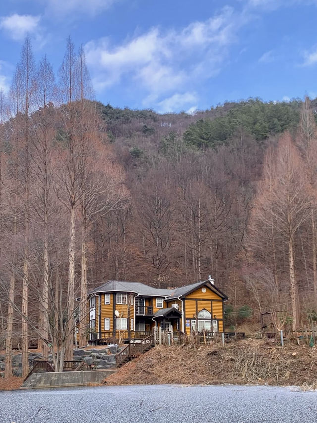 잔잔한 호수와 🏝️ 메타세콰이아숲의 운치있는 야외데이트 명소🏞️