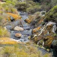 Stepping into Another World: My Visit to Rotorua’s Volcanic Wonderland!