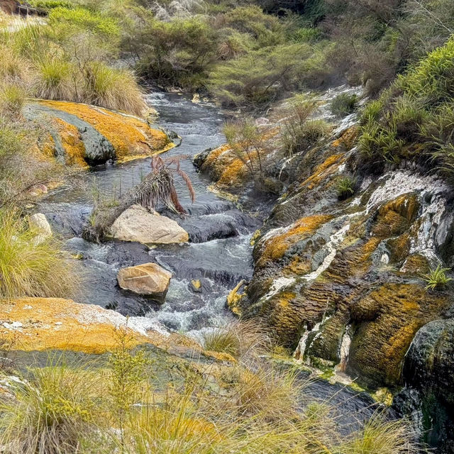 Stepping into Another World: My Visit to Rotorua’s Volcanic Wonderland!