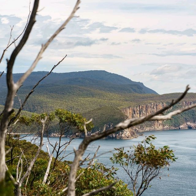 Cape Hauy: Nature’s Dramatic Masterpiece