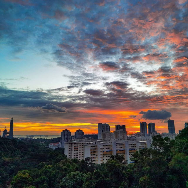 Southern Ridges (Henderson Waves)