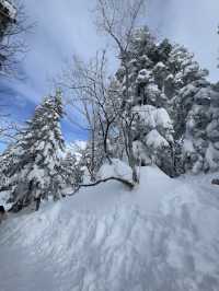 สัมผัสหิมะฟูๆ ที่ Shinhotaka Ropeway ❄️