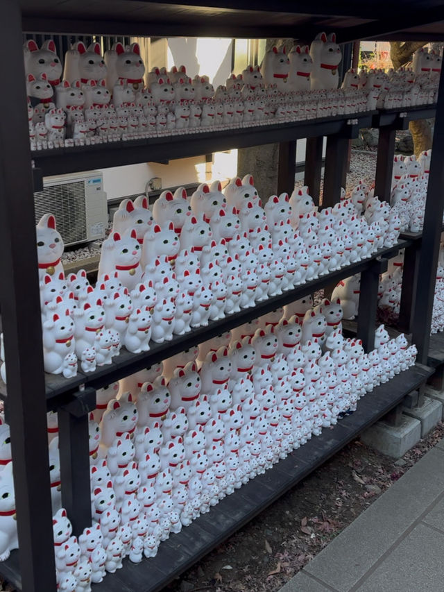 東京｜豪德寺！滿滿招財貓，萌到心花開！