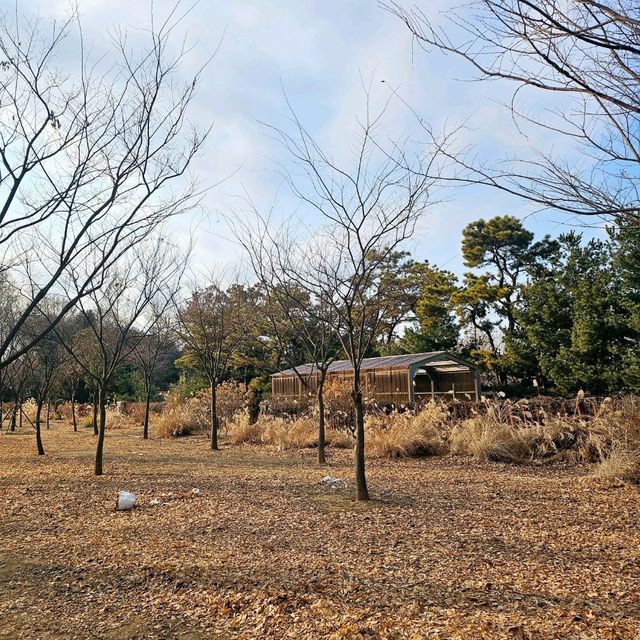 설날에 아이들과 함께 가기 좋은 곳