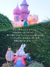 【パリ】ディズニーランドパリに行く前に電車が止まったら
