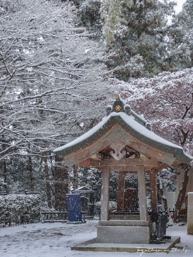 Sendai ในวันที่หิมะโปรยปราย~🌨️❄️🇯🇵