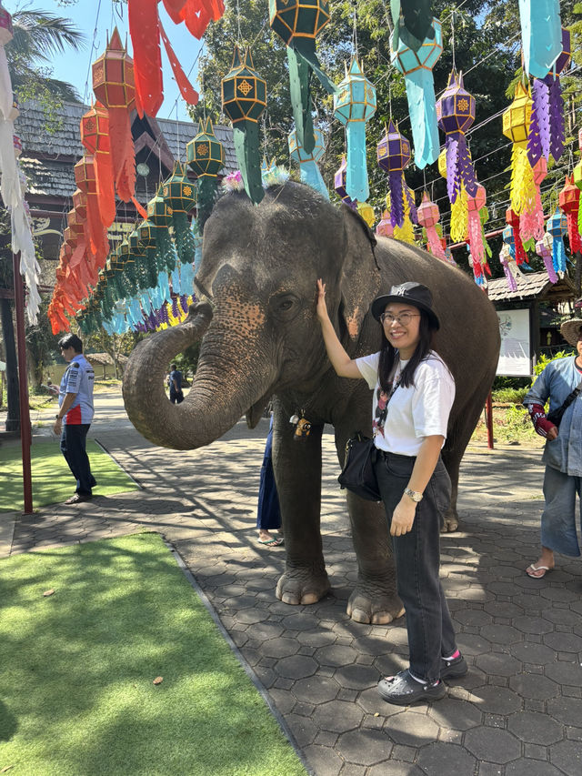 ศูนย์อนุรักษ์ช้างไทย ลำปาง