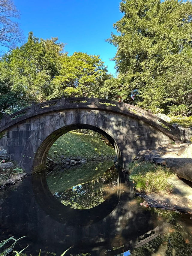 飯田橋「小石川後樂園」賞楓