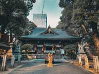 【愛知】厄除け、商売繁盛なら若宮八幡宮がオススメ⛩️