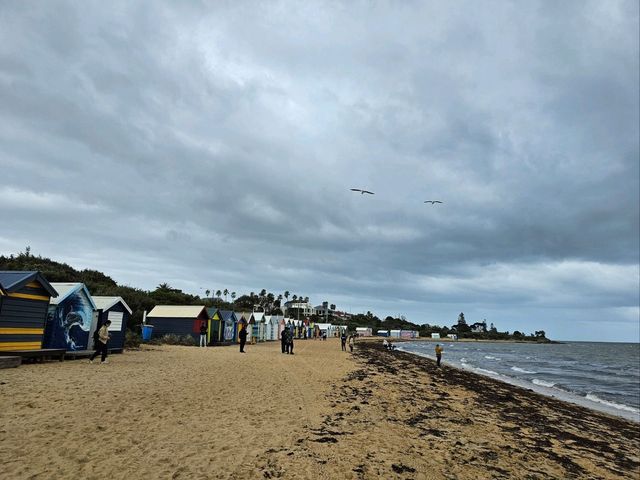 First visit to Brighton Beach