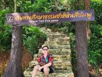 ลานหินสีชมพู  (𝚃𝚑𝚎 𝙿𝚒𝚗𝚔 𝙲𝚘𝚊𝚜𝚝) 💢