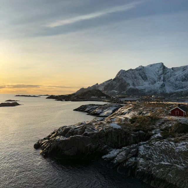 Fresh caught cod in Norwegian village 🇳🇴🎣