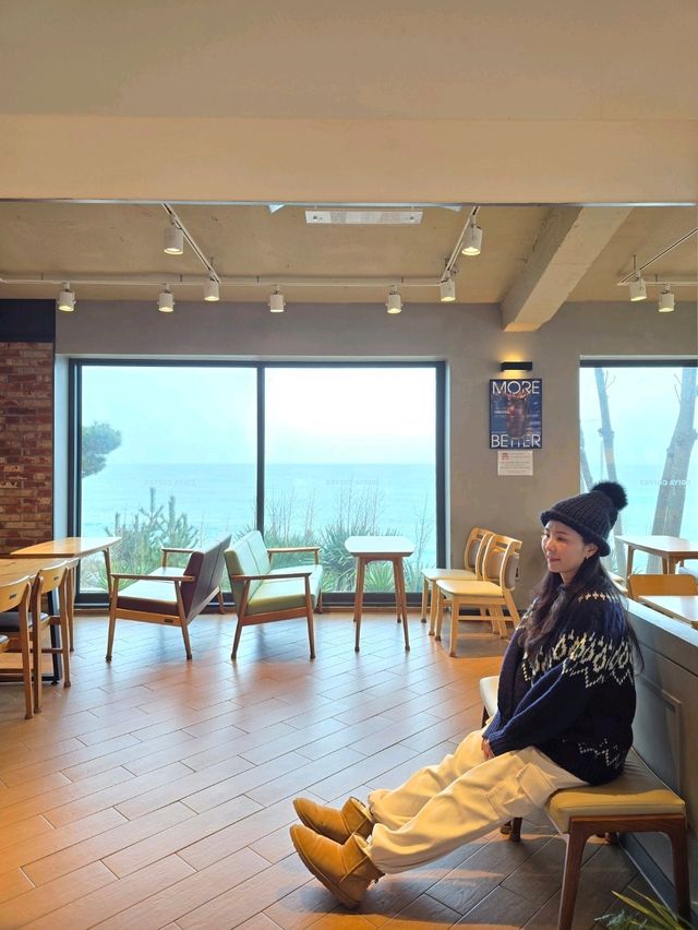 7번국도 드라이브코스 오션뷰 포항카페💙
