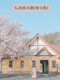 全国のソメイヨシノオススメスポット🌸