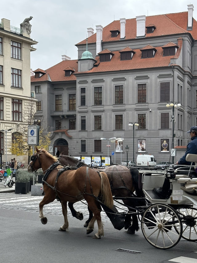 Discover the Charm of Prague’s City Center