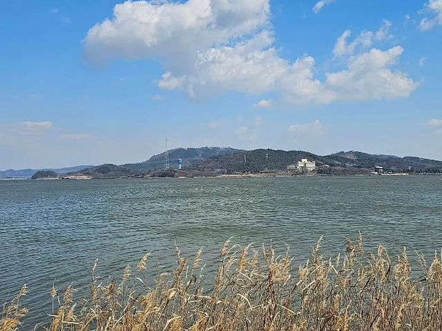 대한민국 충청남도 서천군 조류 생태 전시관 입니다.