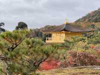 A Symphony of Colors — The Golden Glow of the Kinkakuji-Temple