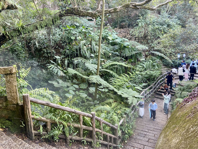 情人節好去處💕廈門園林植物園🌹🌵