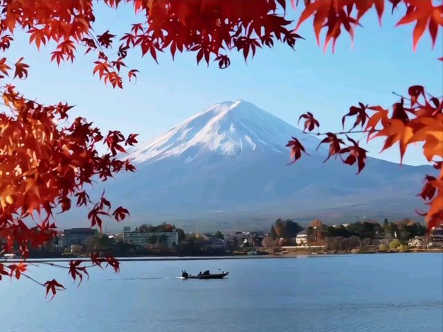 富士山山中湖‐紅葉配上富士山真的太美太出片了！！🤩