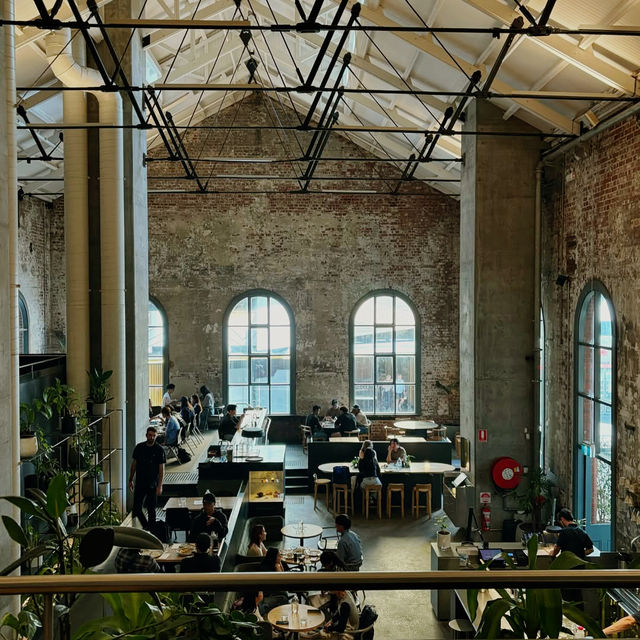Elevate Your Coffee Experience at Higher Ground