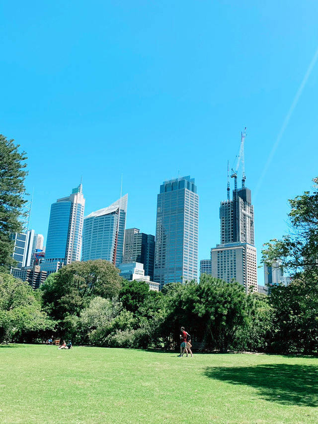 Royal Botanic Garden Sydney: A Green Escape by the Harbour