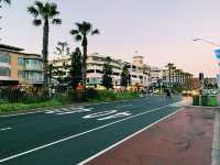 Bondi Beach: Sunset, Palm Trees & Coastal Charm