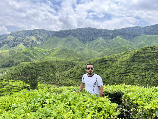 Nova Highlands Hotel Recommendation