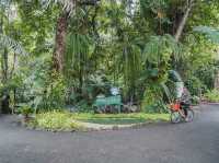 🐵 Blu Monkey Pooltara Krabi 🌴