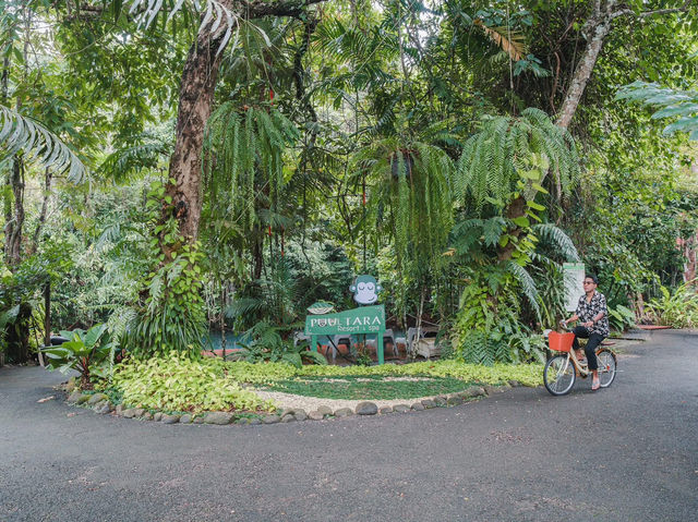 🐵 Blu Monkey Pooltara Krabi 🌴