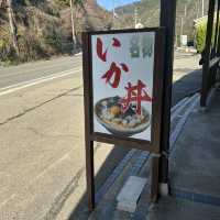 【福井/三方上中】イカ丼が有名なお店🦑