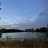 Punggol’s Coastal Charm: A Perfect Day Walk Along the Seaside and Promenade