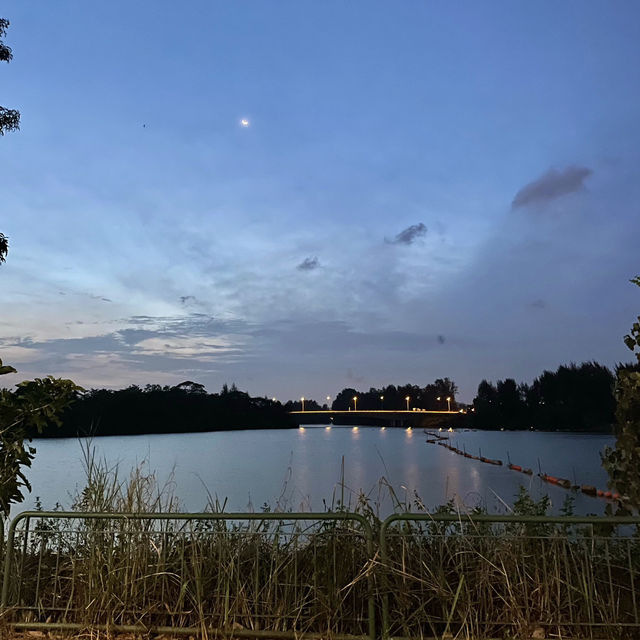 Punggol’s Coastal Charm: A Perfect Day Walk Along the Seaside and Promenade