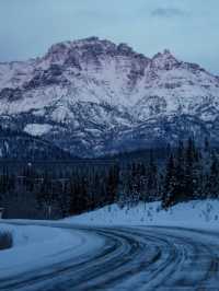 Into the Wild – My Winter Adventure in Denali National Park, Alaska