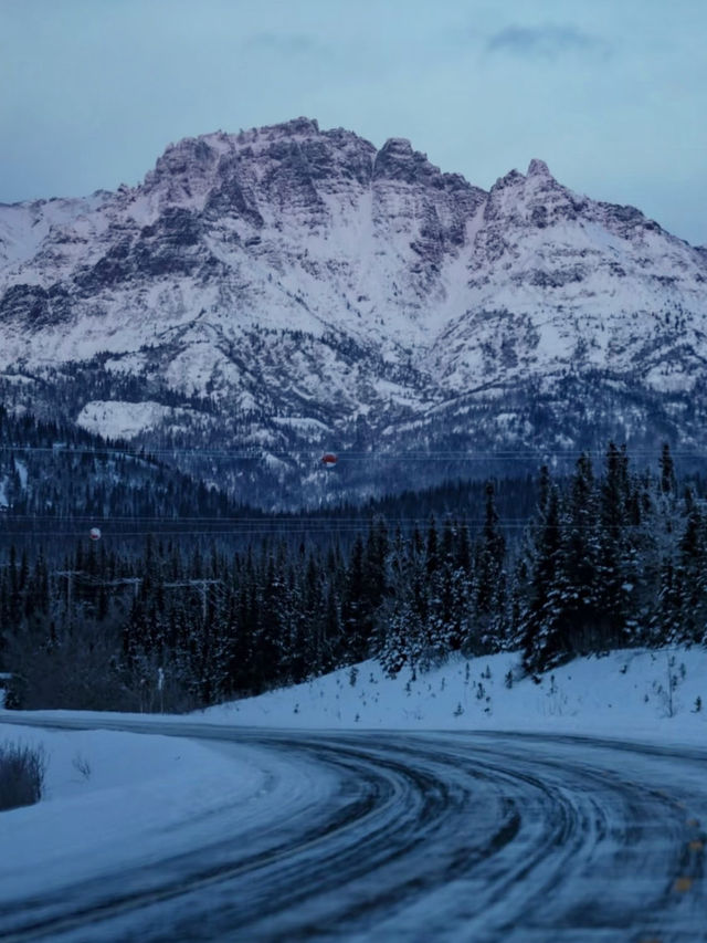 Into the Wild – My Winter Adventure in Denali National Park, Alaska