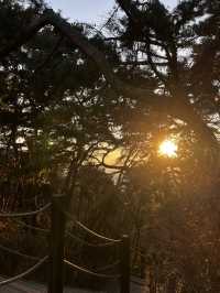 도심 한가운데 우뚝 선 해발 143m의 아기자기한 유네스코 세계문화유산 팔달산🇰🇷