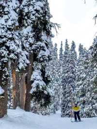 🌿 Hidden Gems of Gulmarg – Beyond the Usual! ❄️🏔️