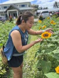 Go to garden in a day 🌻🌼🌺🌾🌷🏵🌸