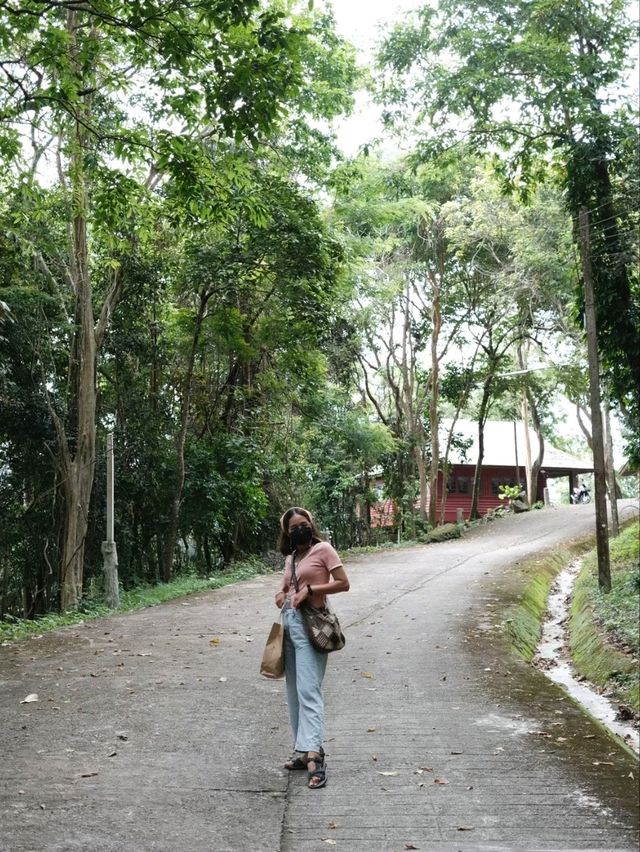 น้ำตกทรายขาว อุทยานแห่งชาติน้ำตกทรายขาว จ.ปัตตานี