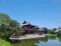 วัดเบียวโด平等院