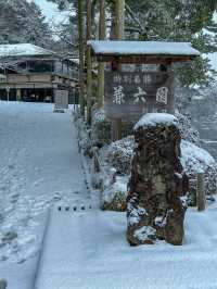 【金沢】幻想的な雪景色の兼六園
