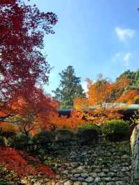 自然に溶け込む県下随一の紅葉の名所
