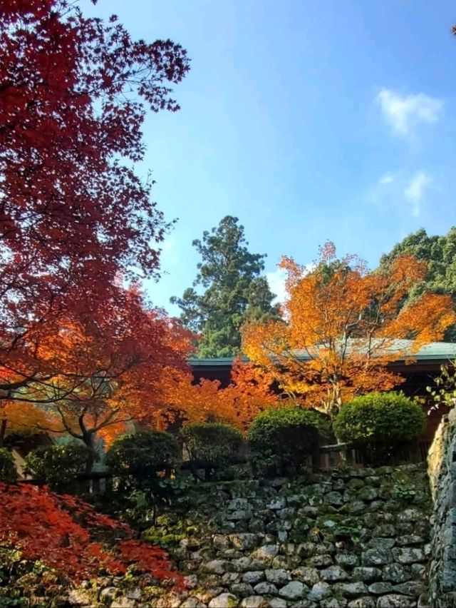 自然に溶け込む県下随一の紅葉の名所