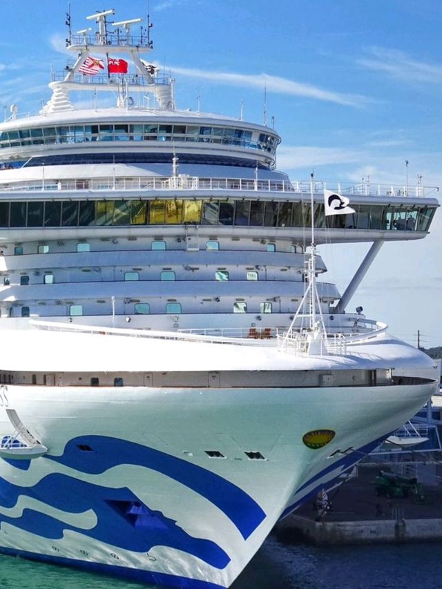 🚢✨ Disney Cruise: A Magical Adventure at Sea! 🏰⚓