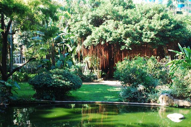 The Historical Significance of the Kowloon Park