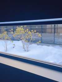 【岩手】雪見温泉を楽しめる温泉リゾートが最高