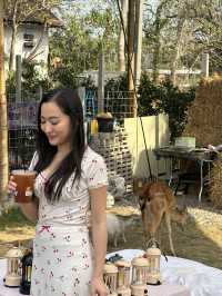 คาเฟ่สัตว์เลี้ยงแม่ริมเชียงใหม่