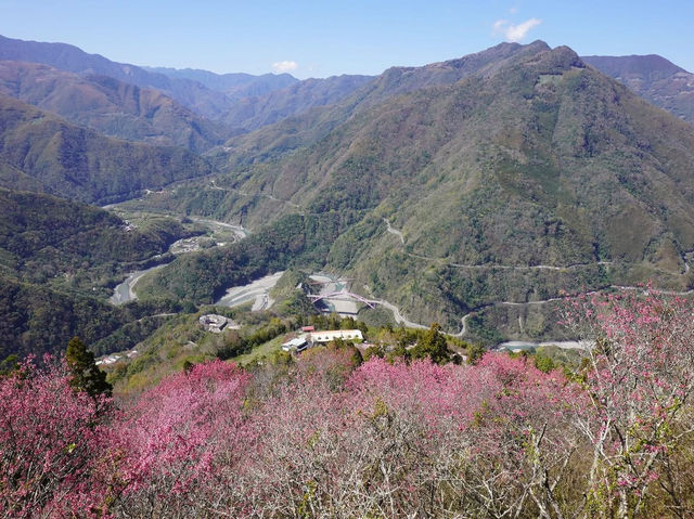 三龜戲水觀景平台