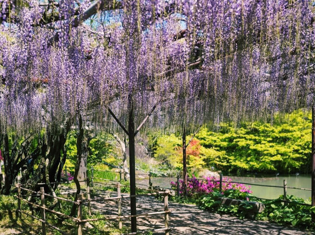 四季折々の絶景に感動✨御船山楽園で癒しのひととき